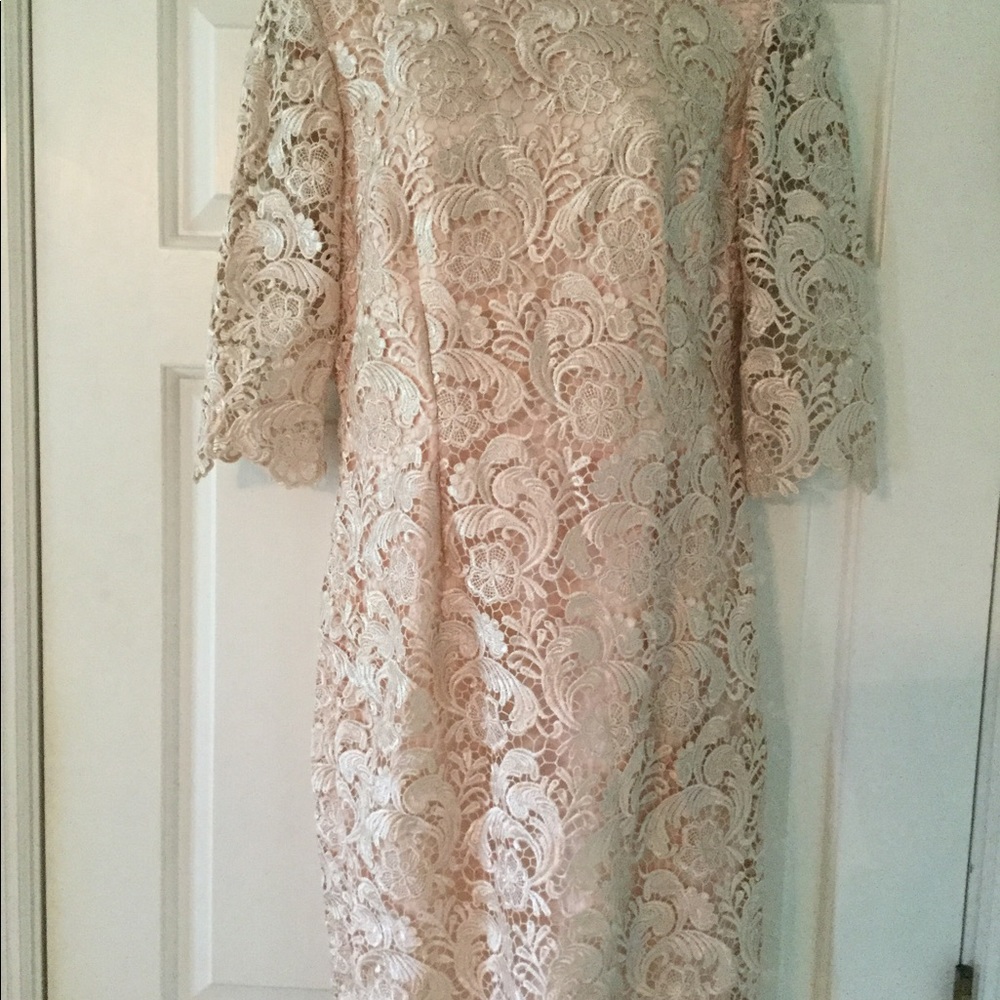 Eliza J blush size 10 dress